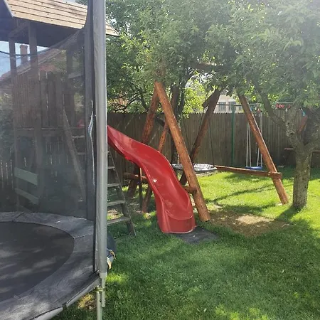 Pensiunea Dandu Gospodarstwo agroturystyczne *
