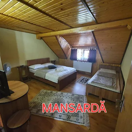 Pensiunea Dandu Alloggio per agriturismo
