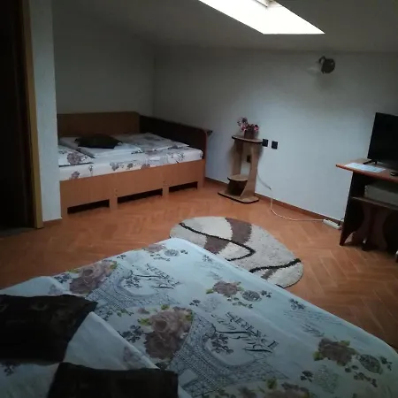 Pensiunea Dandu Gospodarstwo agroturystyczne