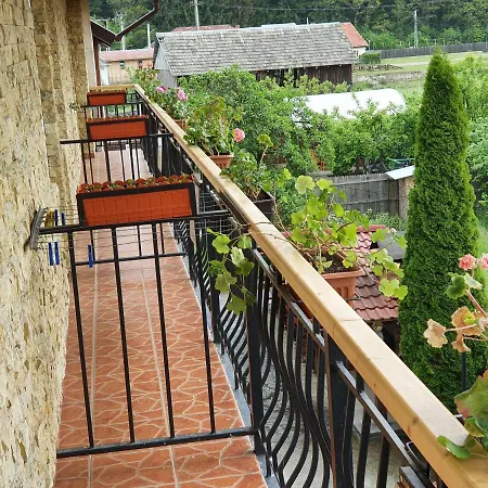 Pensiunea Dandu Farm stay